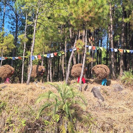 Tathastu Bir -Homestay ,Dorm,Hostel Luaran gambar