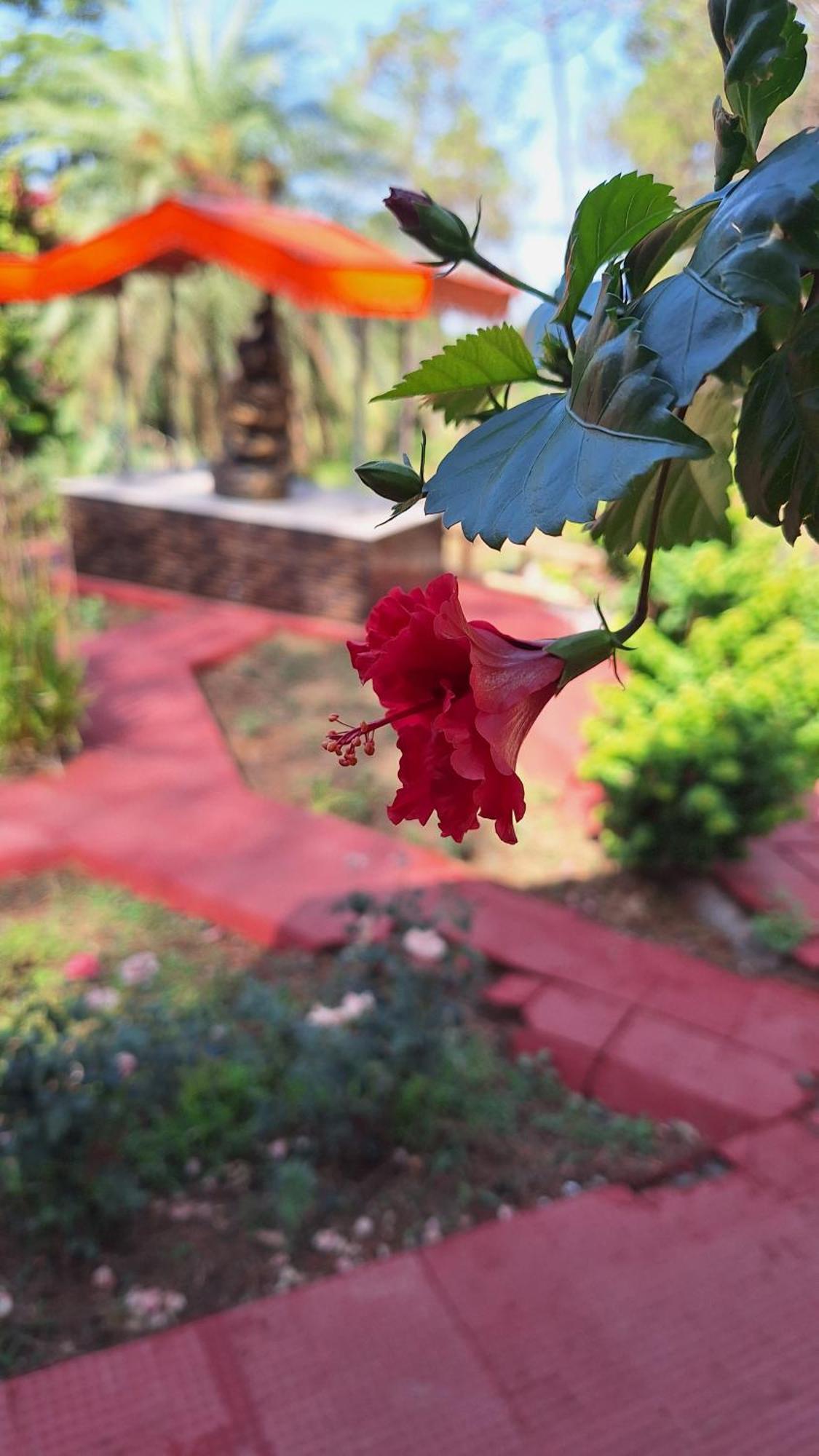 Tathastu Bir -Homestay ,Dorm,Hostel Luaran gambar