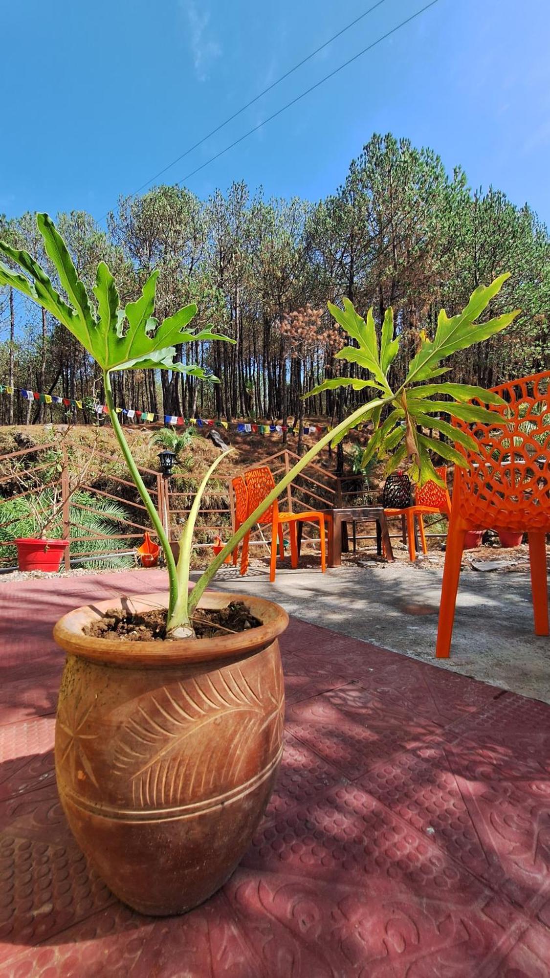 Tathastu Bir -Homestay ,Dorm,Hostel Luaran gambar