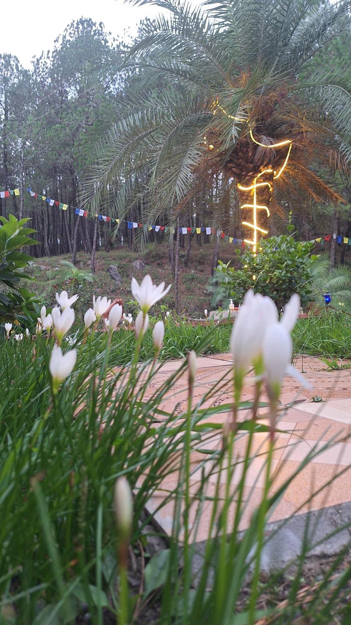 Tathastu Bir -Homestay ,Dorm,Hostel Luaran gambar