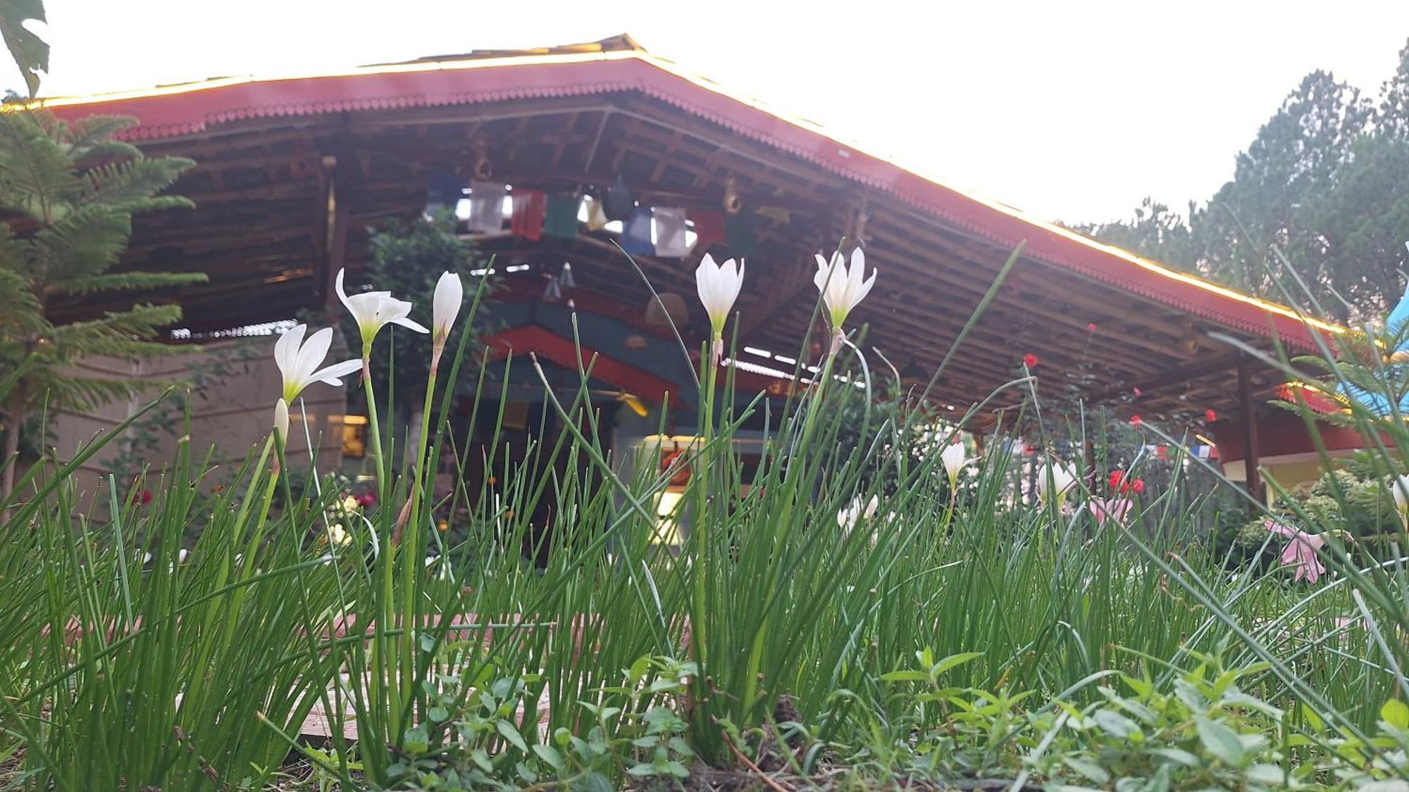 Tathastu Bir -Homestay ,Dorm,Hostel Luaran gambar