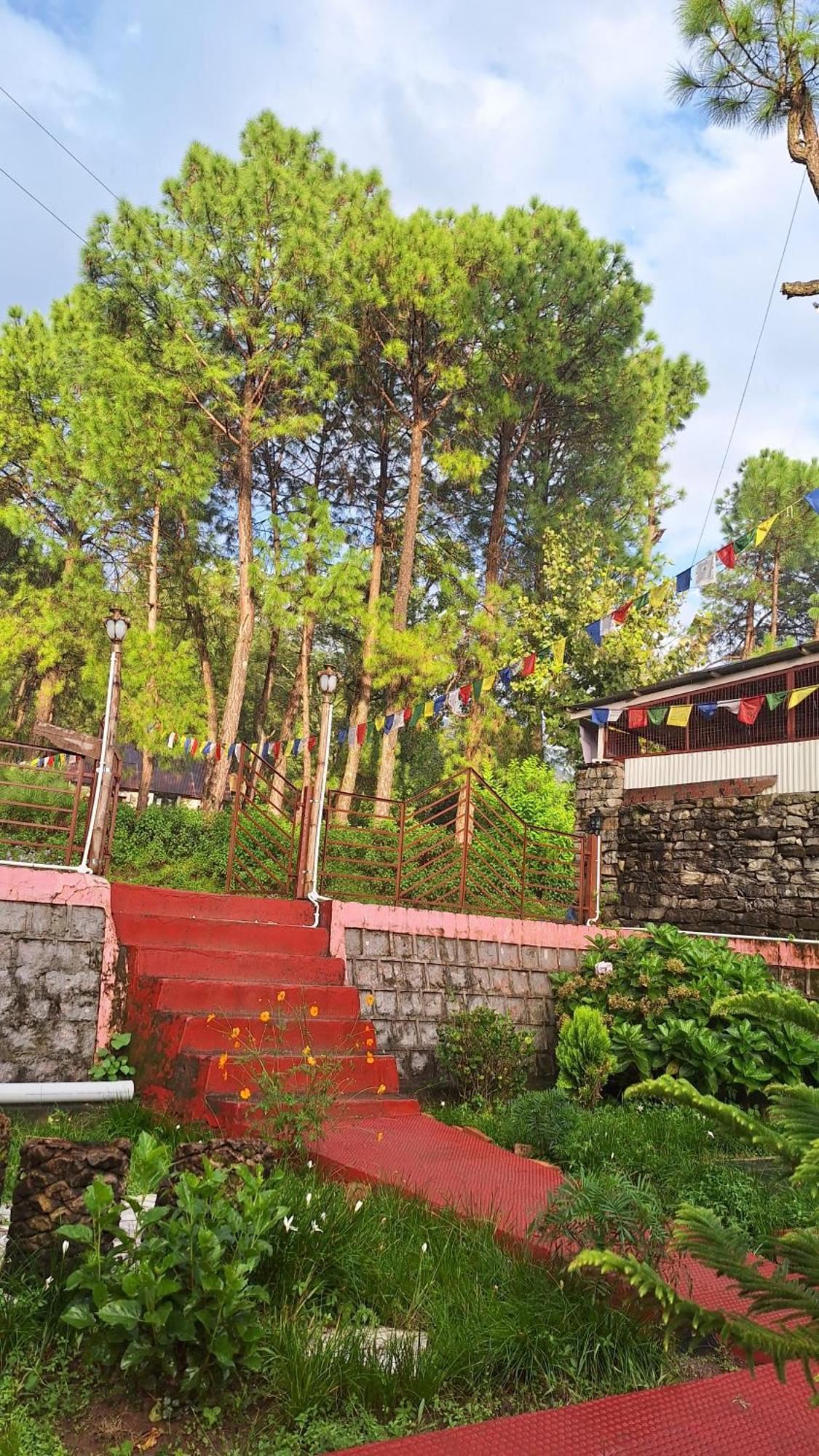 Tathastu Bir -Homestay ,Dorm,Hostel Luaran gambar